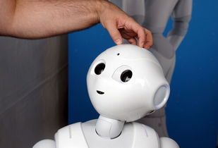 软银鸿海量产人形机器人 可能通过阿里在中国销售