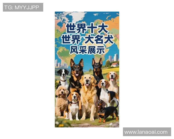 世界足球球星与他们的爱犬排名揭秘 哪位球员的宠物最具魅力